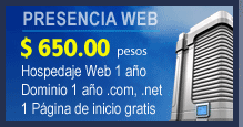 presencia web $650 pesos
